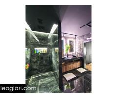 Luksuzna kuca u Leskovcu 525m2 - Slika 9/10