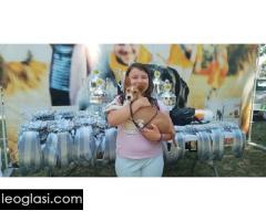 BASENJI štenci - Slika 5/15