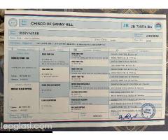 Rotvajler štenci - Slika 7/8