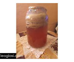 Prodajem KOMBUHU