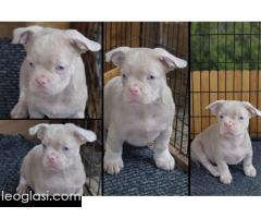 Pink caramel tan - Slika 3/3