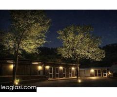 American bully XL / XXL - Slika 10/10